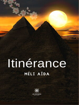 cover image of Itinérance